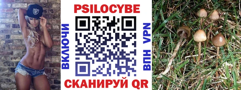 Купить закладки  Заринск  Псилоцибиновые грибы мицелий 